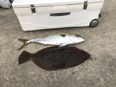 鳥羽沖ジギング