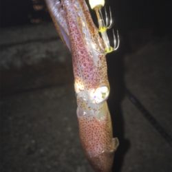 まだ居てる〜( ^ω^ )♪♪