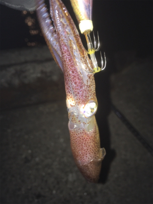 まだ居てる〜( ^ω^ )♪♪