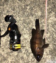 6時間耐久メバリング