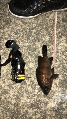 6時間耐久メバリング