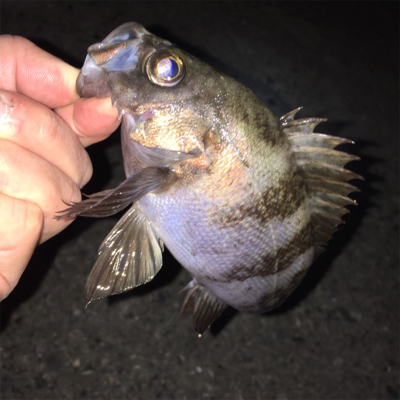 回復傾向アフターメバル