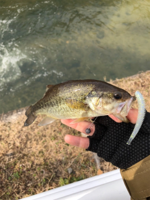 真冬のバス釣り
