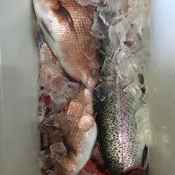 久しぶりのタイ