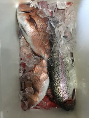 久しぶりのタイ