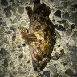 仲間とメバリング