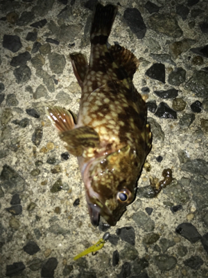 仲間とメバリング