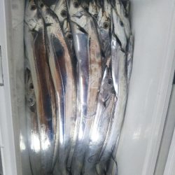 出血大サービス!