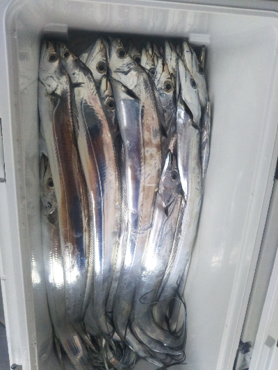 出血大サービス!