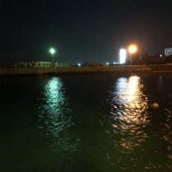 尺メバルは何処?