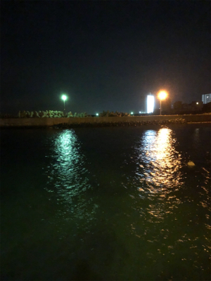 尺メバルは何処?