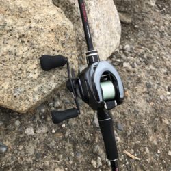 チニング楽しい!