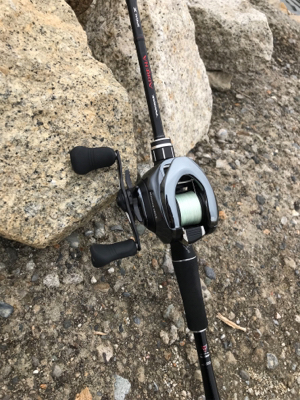 チニング楽しい!