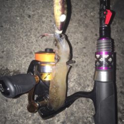 釣れてくれてありがとう