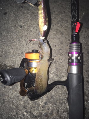 釣れてくれてありがとう