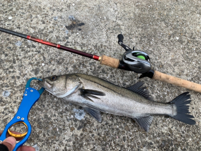 アタリ数あれど。。。