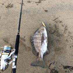 いい引きでした