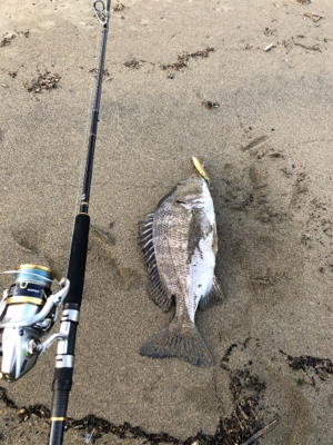 いい引きでした