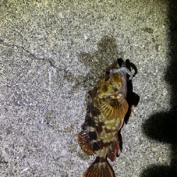 初めての場所で