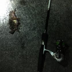 指をくわえてライトゲーム