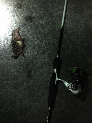 指をくわえてライトゲーム