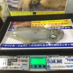 いい釣行になりました!