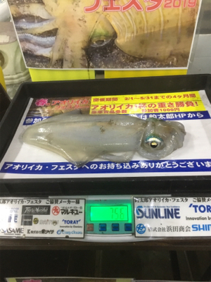 いい釣行になりました!