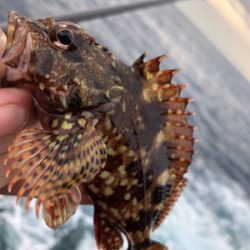 弁天ハードロック!