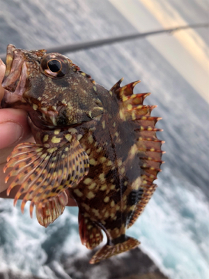 弁天ハードロック!