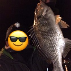 アジを求めて御所浦釣行③