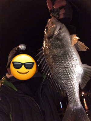 アジを求めて御所浦釣行③