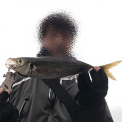 自己ベスト更新