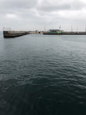 小島にて、雨の日大潮。