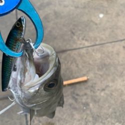 爆風バックラ大爆発