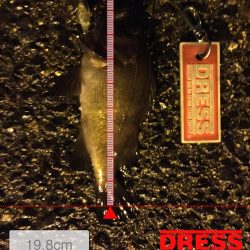 ライトゲーム修行