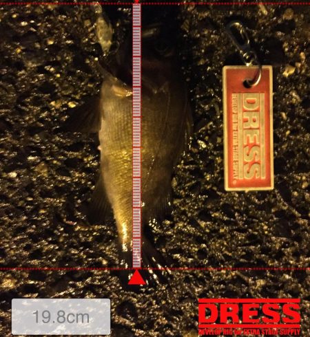 ライトゲーム修行