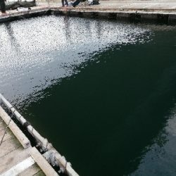 サンクスコース