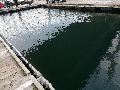 サンクスコース