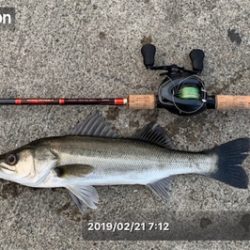 ニュータックルにゅーこんゴンッ♫