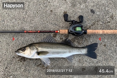 ニュータックルにゅーこんゴンッ♫