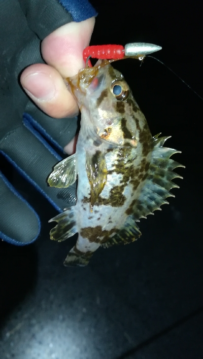 ナイトメバリング