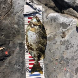 太地町でふかせ釣り