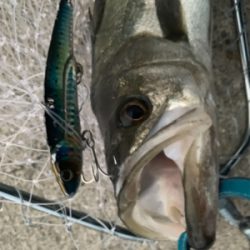 60アップ久しぶりだ━(ﾟ∀ﾟ)━!!