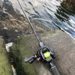 チニング楽しい