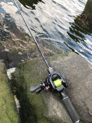 チニング楽しい