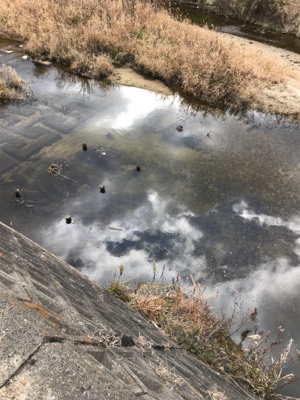 休日の楽しみ方！