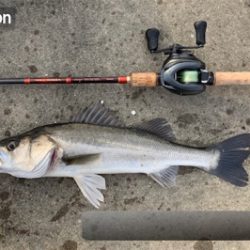 酔いどれガッツ♫