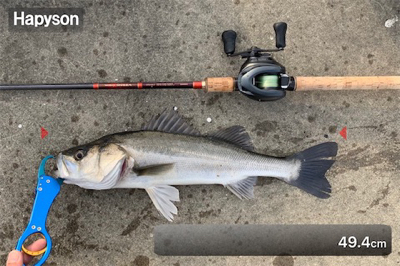 酔いどれガッツ♫