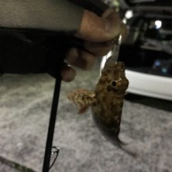 爆風樋島ライトゲーム