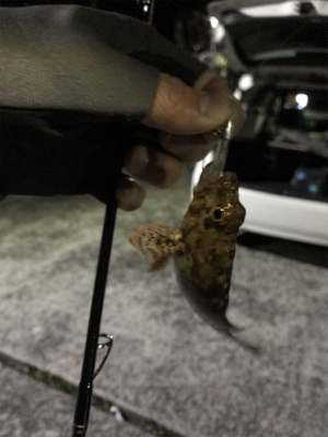 爆風樋島ライトゲーム